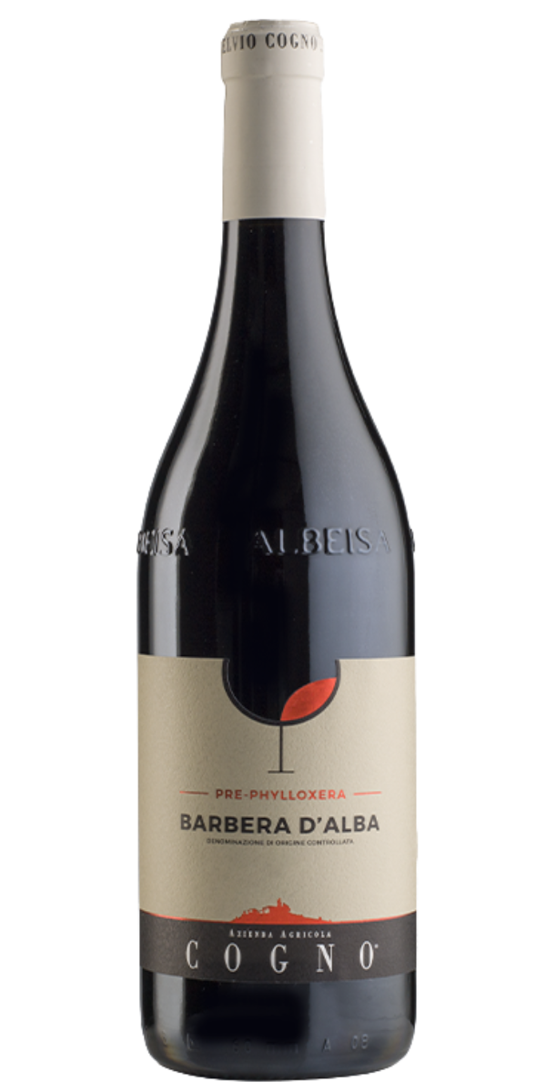 Elvio Cogno, Barbera d'Alba, Pre-Phylloxera, 2020, 750 ml
