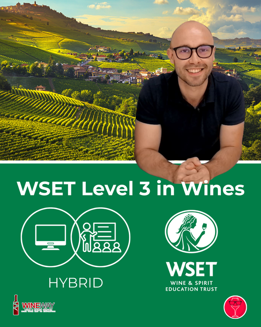 WSET Level 3 in Wines HYBRID