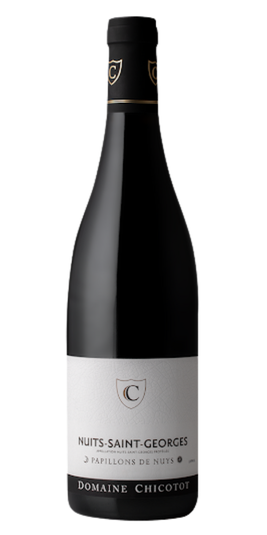 Clement Chicotot, Nuits Saint Georges, Papillons de Nuys, 2021, 750 ml