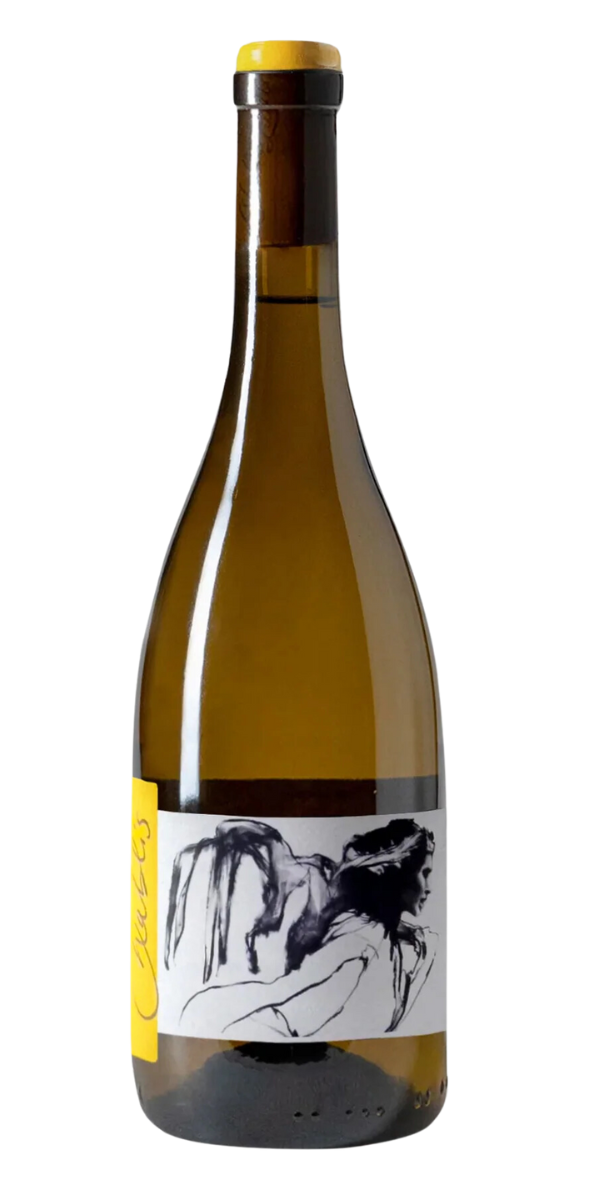 Domaine Pattes Loup, Vent d'Ange, Chablis, 2022, 750 ml